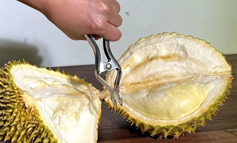 Vỏ quả sầu riêng được đánh giá là có nhiều lợi ích cho sức khỏe.