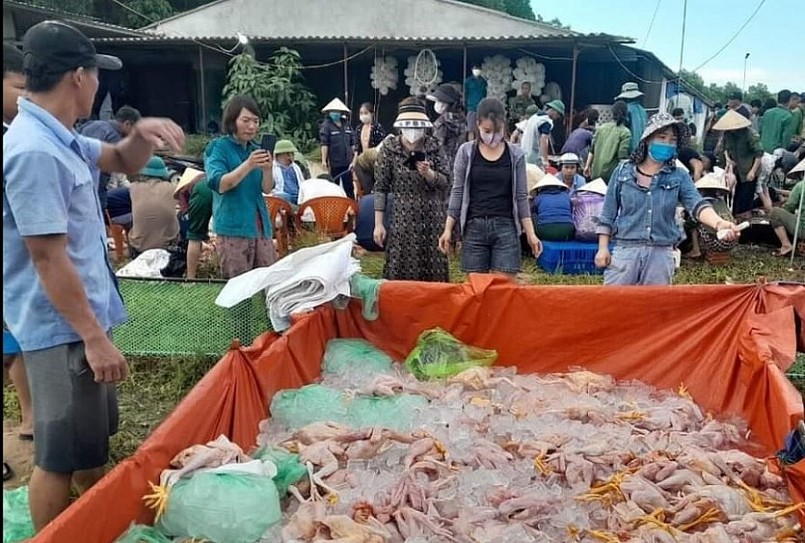 Gà được làm sạch và mọi người chung tay mua giúp gia chủ.