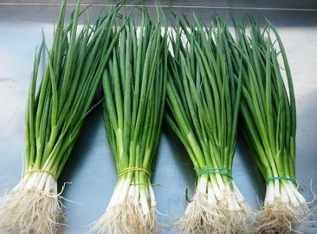 Loại rau có nhiều ở Việt Nam, có nhiều tác dụng tốt với sức khỏe