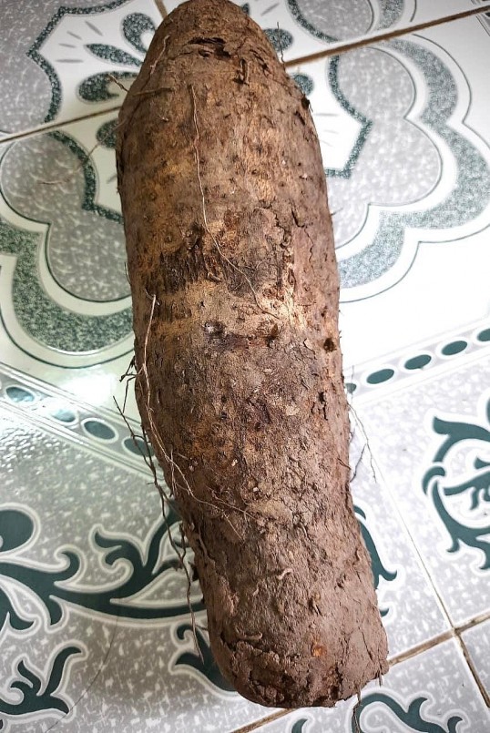 Củ canh- nguyên liệu chính để nấu món canh củ