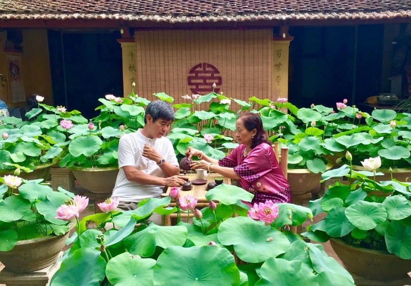 Mỗi ngày, vợ chồng ông Điệp thưởng thức trà sen giữa vườn ngát hương. 