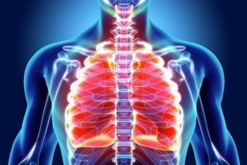 Những bộ phận quan trọng và chiếm lớn nhất trong cơ thể con người