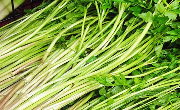 Những lưu ý khi sử dụng rau cần nước