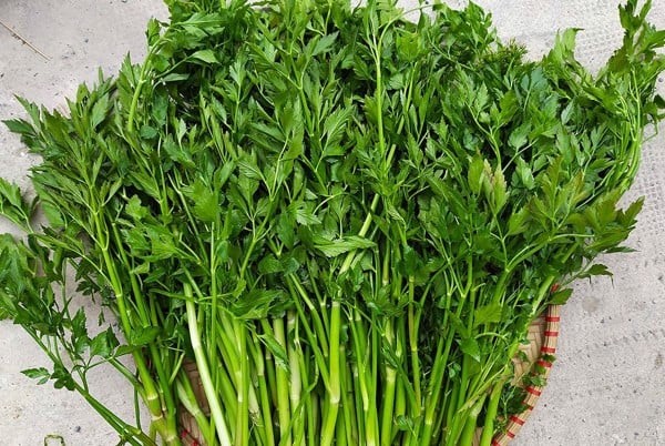 Công dụng rau cần nước mang lại cho sức khỏe