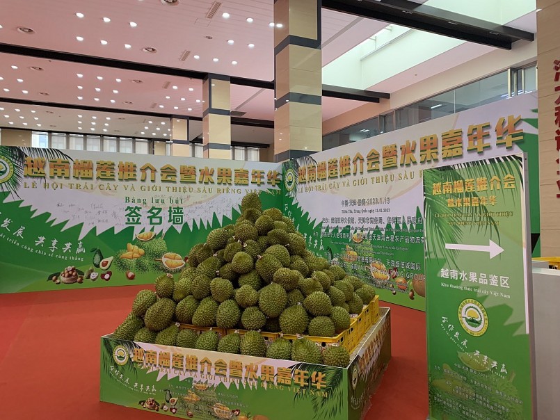 Sầu riêng Việt tiếp tục được ưa chuộng tại Trung Quốc. Sầu riêng Việt tiếp tục được ưa chuộng tại Trung Quốc.