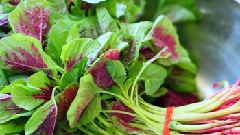 7 loại rau củ "rẻ bèo" lại bổ máu, giàu sắt hơn cả thịt, cá, có loại xưa làm thức ăn cho gia súc