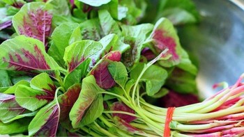 7 loại rau củ "rẻ bèo" lại bổ máu, giàu sắt hơn cả thịt, cá, có loại xưa làm thức ăn cho gia súc