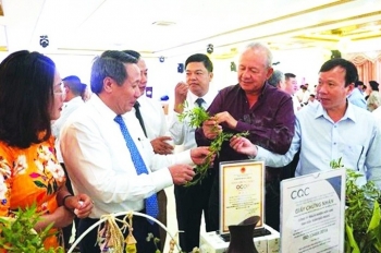 Cơ hội để sản phẩm OCOP dược liệu Quảng Trị vươn ra thị trường thế giới