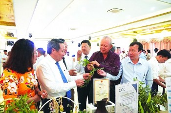 Cơ hội để sản phẩm OCOP dược liệu Quảng Trị vươn ra thị trường thế giới