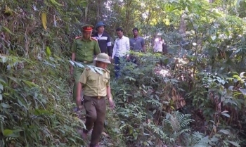 Bắc Trung Bộ nâng cảnh báo cháy rừng lên mức cao nhất