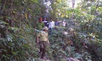 Bắc Trung Bộ nâng cảnh báo cháy rừng lên mức cao nhất