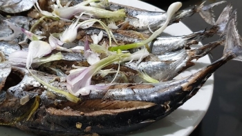 Cá ồ là cá gì mà khi ăn muốn an toàn thì bẻ một tí đuôi ăn trước