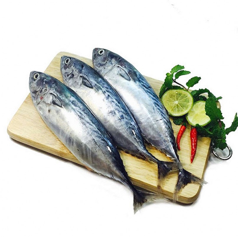 Cá Ồ có vẻ ngoài khá giống với cá thu vì có họ hàng Cá Ồ có vẻ ngoài khá giống với cá thu vì có họ hàng