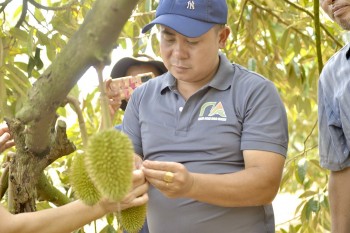 Đội "tư vấn free" cho nông dân ở Gia Lai