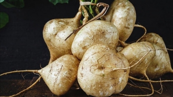 Những tác dụng tuyệt vời khi ăn củ đậu