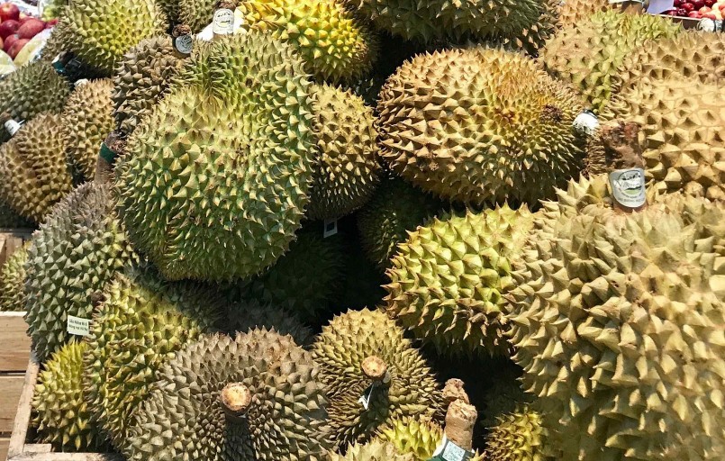 Các cường quốc trồng sầu riêng ở Đông Nam Á đều gia tăng sức cạnh tranh để củng cố thị phần tại thị trường Trung Quốc.