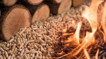 Việt Nam trở thành quốc gia sản xuất viên nén lớn thứ hai trên thế giới