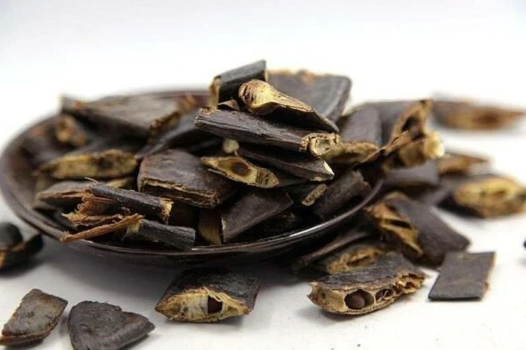 Quả bồ kết có nhiều công dụng trong làm đẹp và sức khoẻ