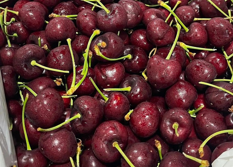 Cherry Mỹ đổ bộ chợ Việt với giá bán siêu rẻ. Cherry Mỹ đổ bộ chợ Việt với giá bán siêu rẻ.