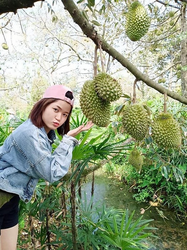 Du khách check in bên vườn Bảy Thảo