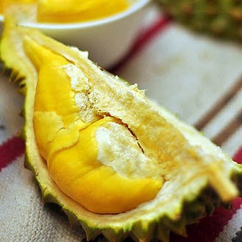 Những vườn sầu riêng miền Tây ngon quên lối về