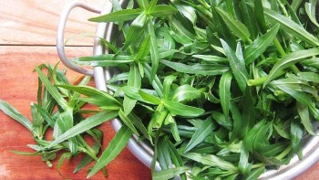 4 món ngon từ rau ngổ