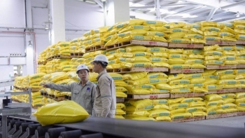 Kim ngạch nhập khẩu phân bón 6 tháng giảm 30,4%