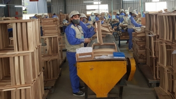 Xuất khẩu gỗ và sản phẩm gỗ 6 tháng đạt gần 6,06 tỷ USD