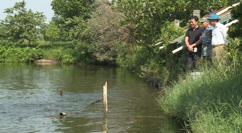 Cá Koi không khó nuôi nhưng rất khắt khe về môi trường nước.