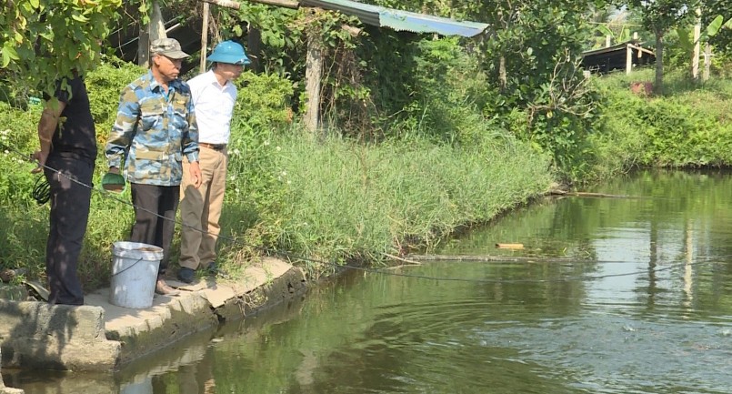 Nuôi cá Koi xen canh cho thu nhập từ 80 đến trên 100 triệu đồng/ha/năm.