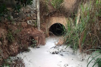 Đắk Lắk: Người dân sống cảnh "màn trời chiếu đất" vì khu công nghiệp xả thải gây ô nhiễm môi trường