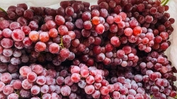 Nho ngoại đổ bộ chợ Việt giá rẻ như rau