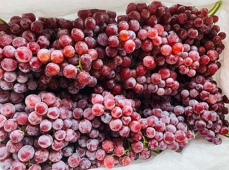 nho đỏ có giá 150.000 đồng/rành 5kg