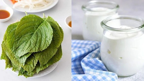 Không cần đi spa, dưỡng da bằng thứ lá gia vị này, một tuần sau da mịn như nhung