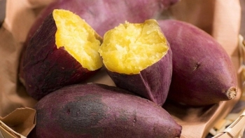 Người mắc bệnh tiểu đường có ăn khoai lang được không?