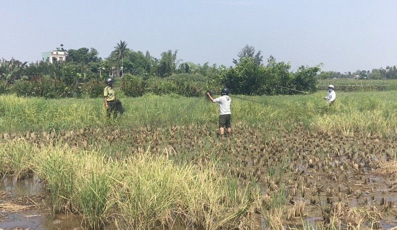 Kiểm lâm Quảng Nam tịch thu lưới tàng hình ở huyện Thăng Bình. 