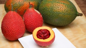 Công dụng bất ngờ của quả gấc đối với sức khỏe