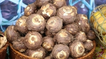 Loại củ có dinh dưỡng gấp 1,5 lần khoai tây, nhưng sao người Việt lại ít dùng?