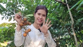 Nông dân phát hiện giống nhãn lạ miễn nhiễm với bệnh chổi rồng, 2 năm đã cho quả với hương vị đặc biệt