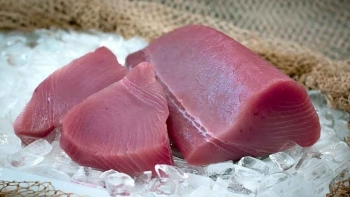 Xuất khẩu cá ngừ khởi sắc ở một số thị trường