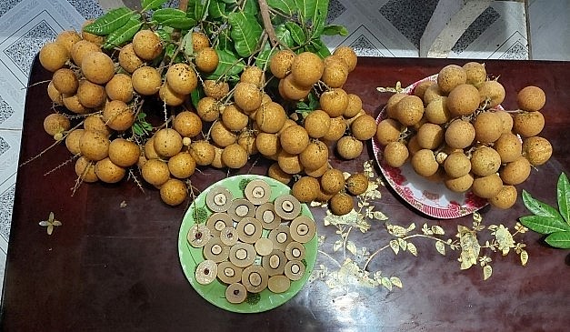 Loại nhãn này vừa được trưng bày và giới thiệu đã có rất nhiều khách đặt mua. Loại nhãn này vừa được trưng bày và giới thiệu đã có rất nhiều khách đặt mua.