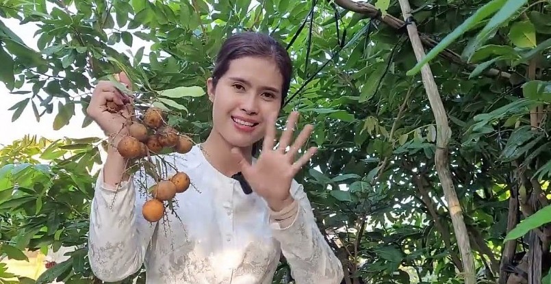 Giống nhãn lạ đang gây sốt với khả năng kháng bệnh, sớm cho trái to, cơm dày và hương vị thơm ngọt. Giống nhãn lạ đang gây sốt với khả năng kháng bệnh, sớm cho trái to, cơm dày và hương vị thơm ngọt.