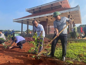 Đắk Nông: Huyện nghèo biên giới trồng hơn 1.493ha rừng, nâng cao tỷ lệ độ che phủ rừng