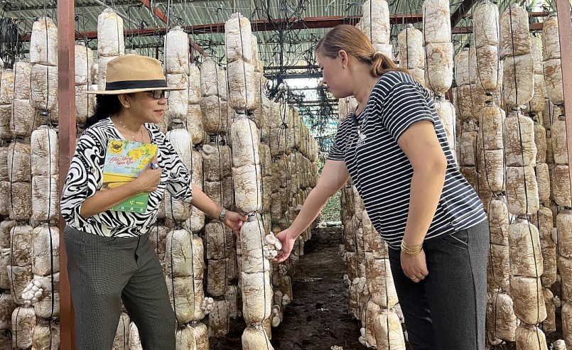 Gia đình chị Nguyễn Thị Tiền (bên phải) có thu nhập 250 triệu đồng mỗi năm nhờ trồng nấm.