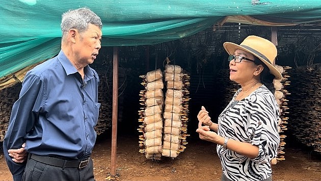 Ông Đàm Viết Thìn trao đổi về kỹ thuật trồng nấm linh chi.