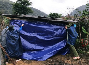 Hải Dương chống dịch bệnh cho vật nuôi vào mùa mưa bão