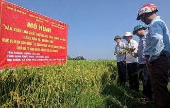 Thanh Hóa phát triển hơn 1.800 chuỗi liên kết sản xuất và tiêu thụ sản phẩm nông nghiệp