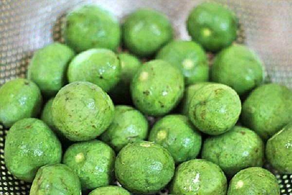 Công dụng chữa bệnh diệu kỳ của quả sấu không phải ai cũng biết Công dụng chữa bệnh diệu kỳ của quả sấu không phải ai cũng biết