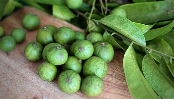 Công dụng chữa bệnh diệu kỳ của quả sấu không phải ai cũng biết