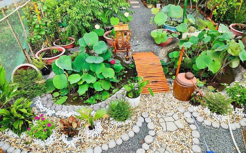 Khu vườn có khoảng 100 loại rau, hoa, quả đẹp như tranh.